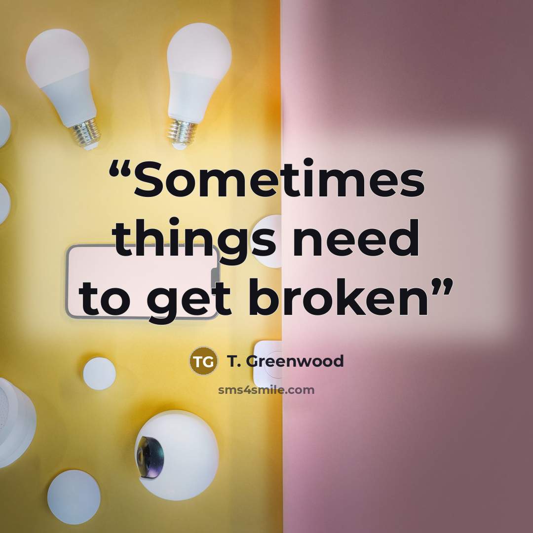 “Sometimes things need to get broken” quote by T. Greenwood