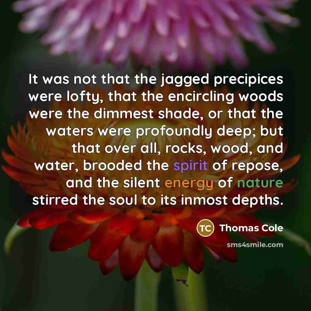 “It was not that the jagged precipices were lofty, that the encircling woods were the dimmest shade, or that the waters were profoundly deep; but that over all, rocks, wood, and water, brooded the spirit of repose, and the silent energy of nature stirred the soul to its inmost depths.” quote by Thomas Cole