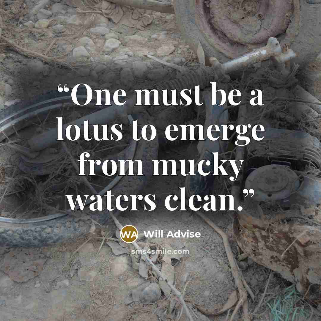 “One must be a lotus to emerge from mucky waters clean.” quote by Will Advise
