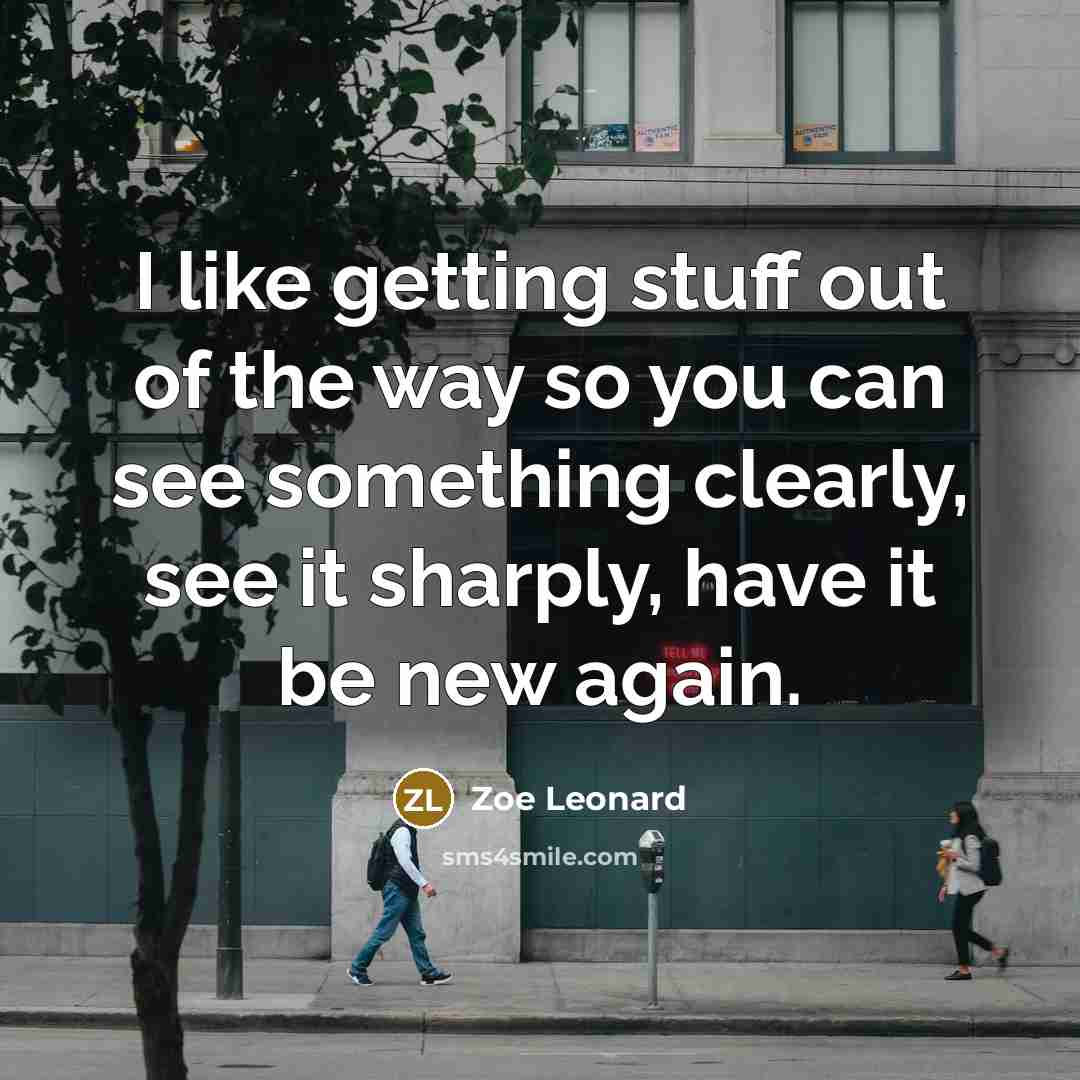 “I like getting stuff out of the way so you can see something clearly, see it sharply, have it be new again.” quote by Zoe Leonard