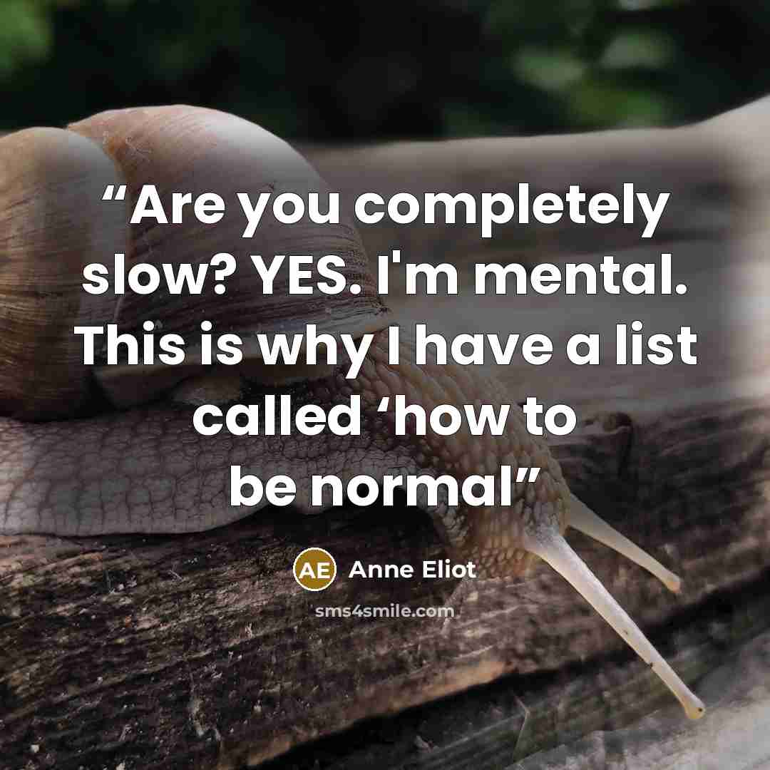 “Are you completely slow? YES. I'm mental. This is why I have a list called ‘how to be normal” quote by Anne Eliot