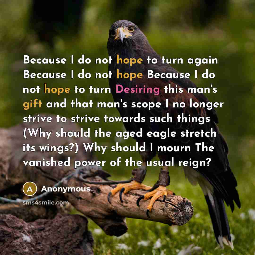 “Because I do not hope to turn again Because I do not hope Because I do not hope to turn Desiring this man's gift and that man's scope I no longer strive to strive towards such things (Why should the aged eagle stretch its wings?) Why should I mourn The vanished power of the usual reign?” quote by Anonymous