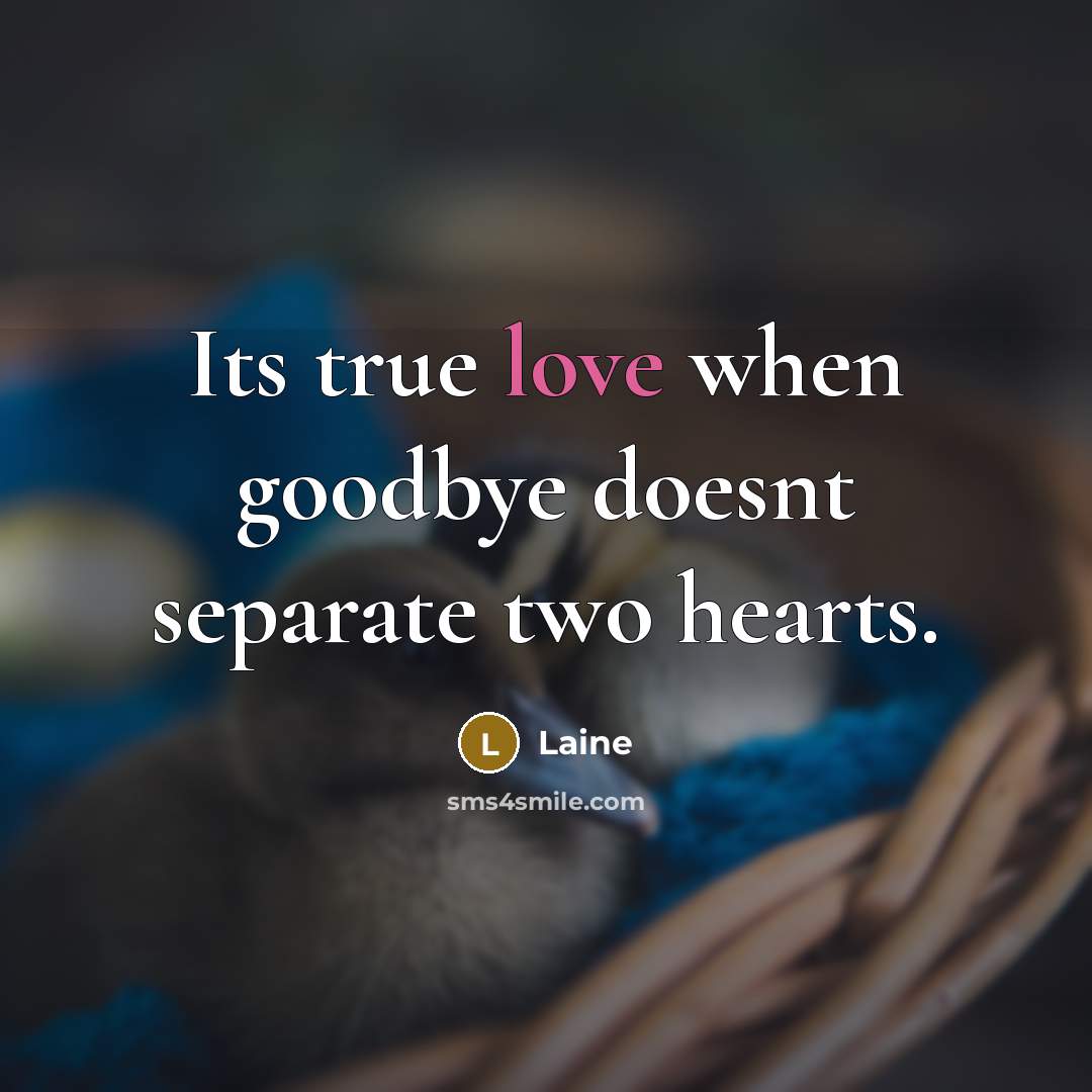 “Its true love when goodbye doesnt separate two hearts.” quote by Laine