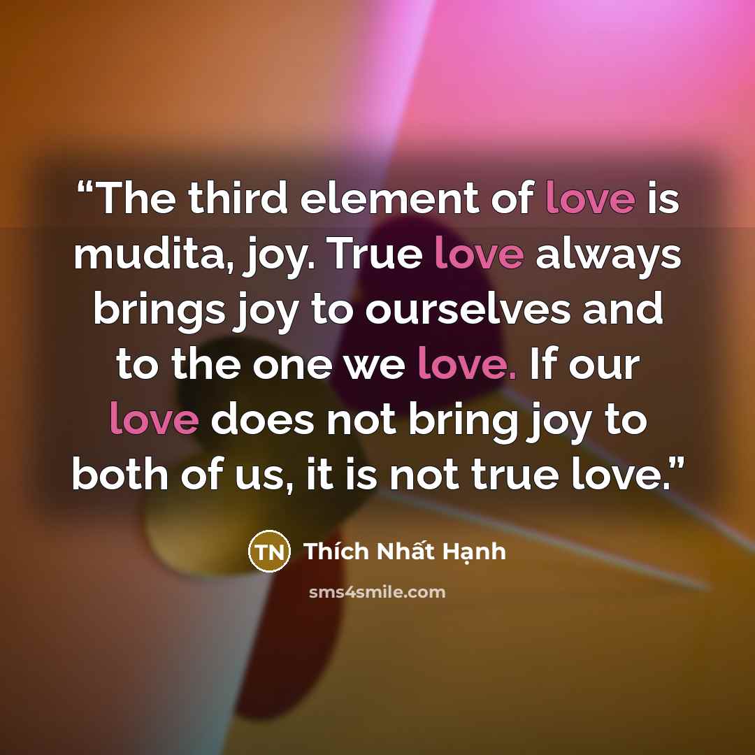 “The third element of love is mudita, joy. True love always brings joy to ourselves and to the one we love. If our love does not bring joy to both of us, it is not true love.” quote by Thich Nhat Hanh