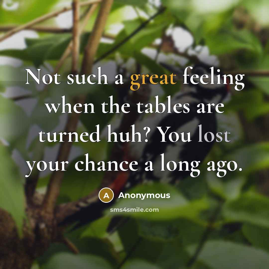 “Not such a great feeling when the tables are turned huh? You lost your chance a long ago.” quote by Anonymous