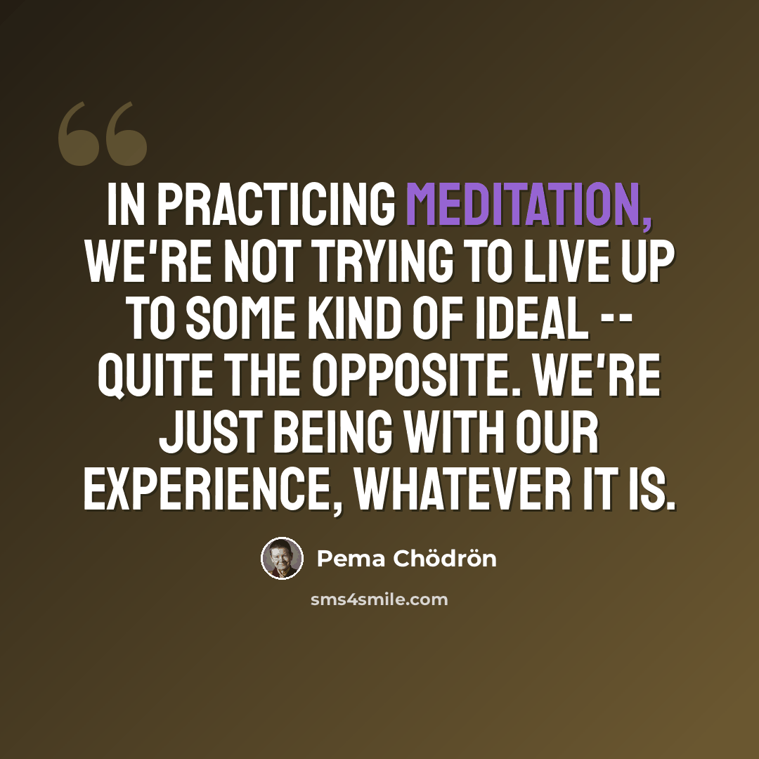“In practicing meditation, we're not trying to live up to some kind of ideal -- quite the opposite. We're just being with our experience, whatever it is.” quote by Pema Chodron