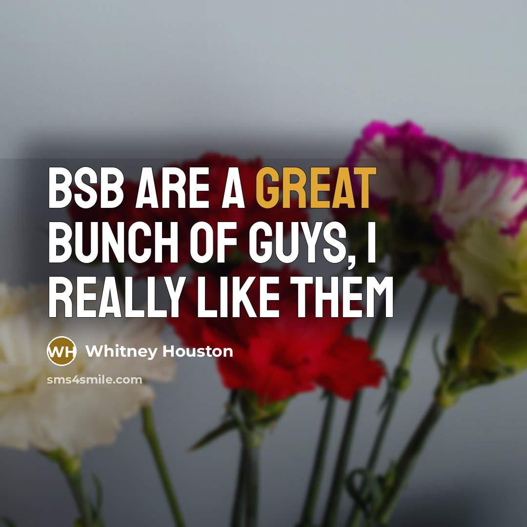 “BSB are a great bunch of guys, I really like them” quote by Whitney Houston