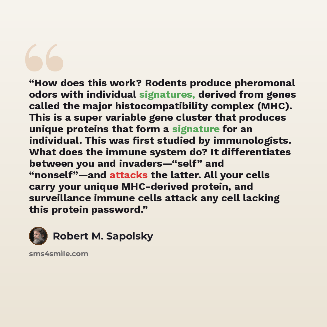 “How does this work? Rodents produce pheromonal odors with individual signatures, derived from genes called the major histocompatibility complex (MHC). This is a super variable gene cluster that produces unique proteins that form a signature for an individual. This was first studied by…” quote by Robert M. Sapolsky