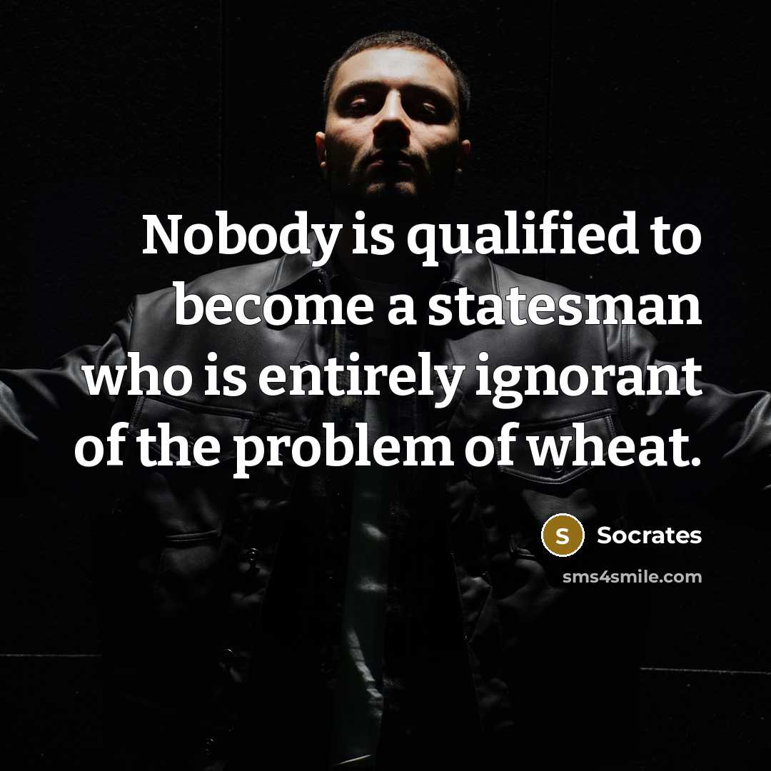 “Nobody is qualified to become a statesman who is entirely ignorant of the problem of wheat.” quote by Socrates