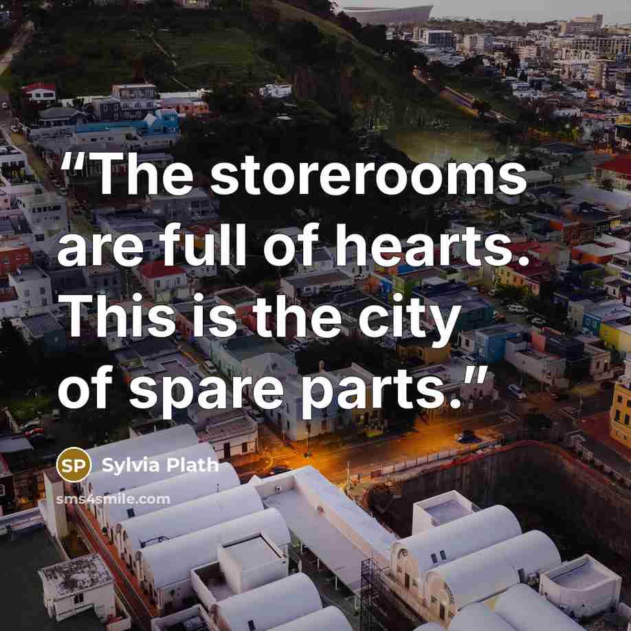“The storerooms are full of hearts. This is the city of spare parts.” quote by Sylvia Plath