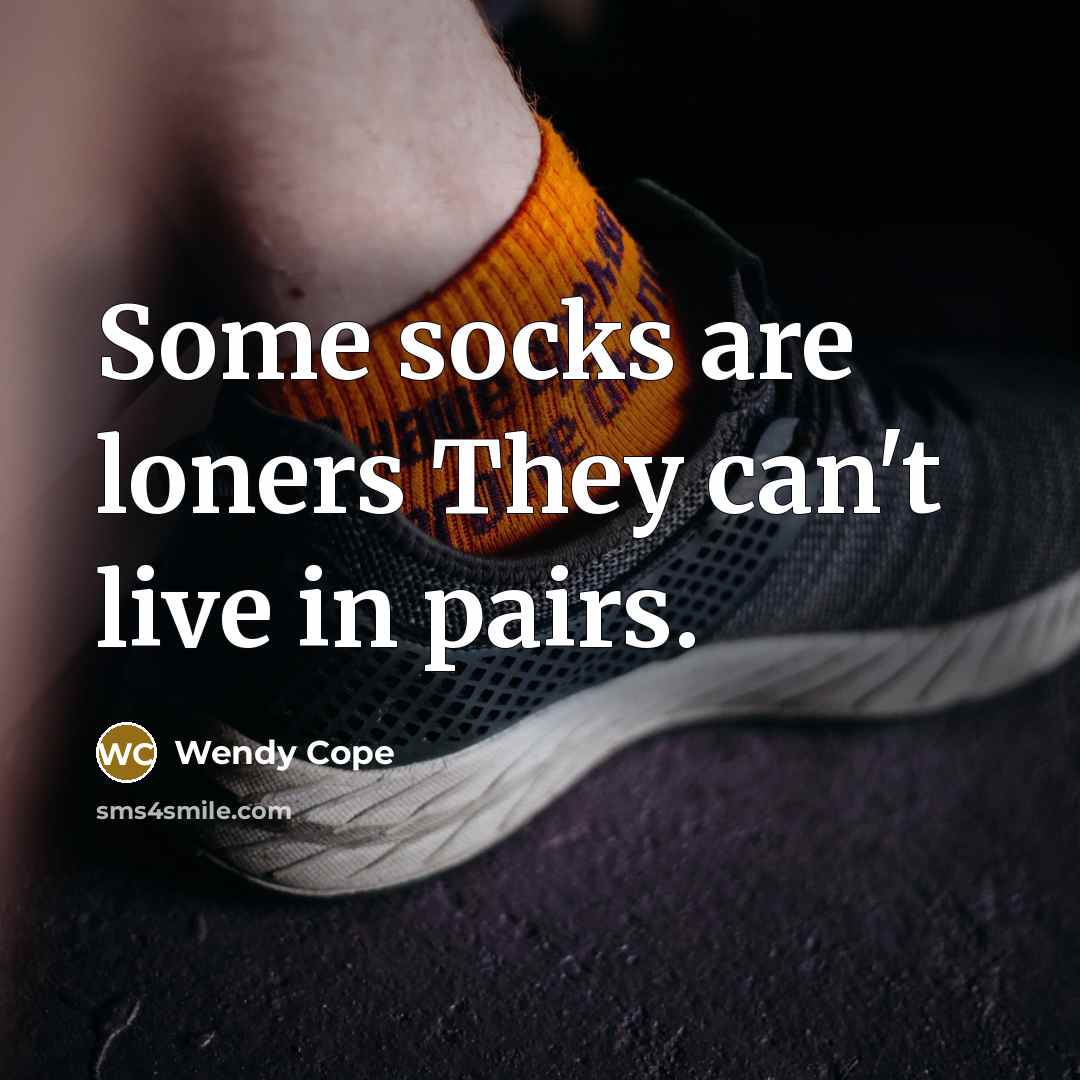 “Some socks are loners They can't live in pairs.” quote by Wendy Cope
