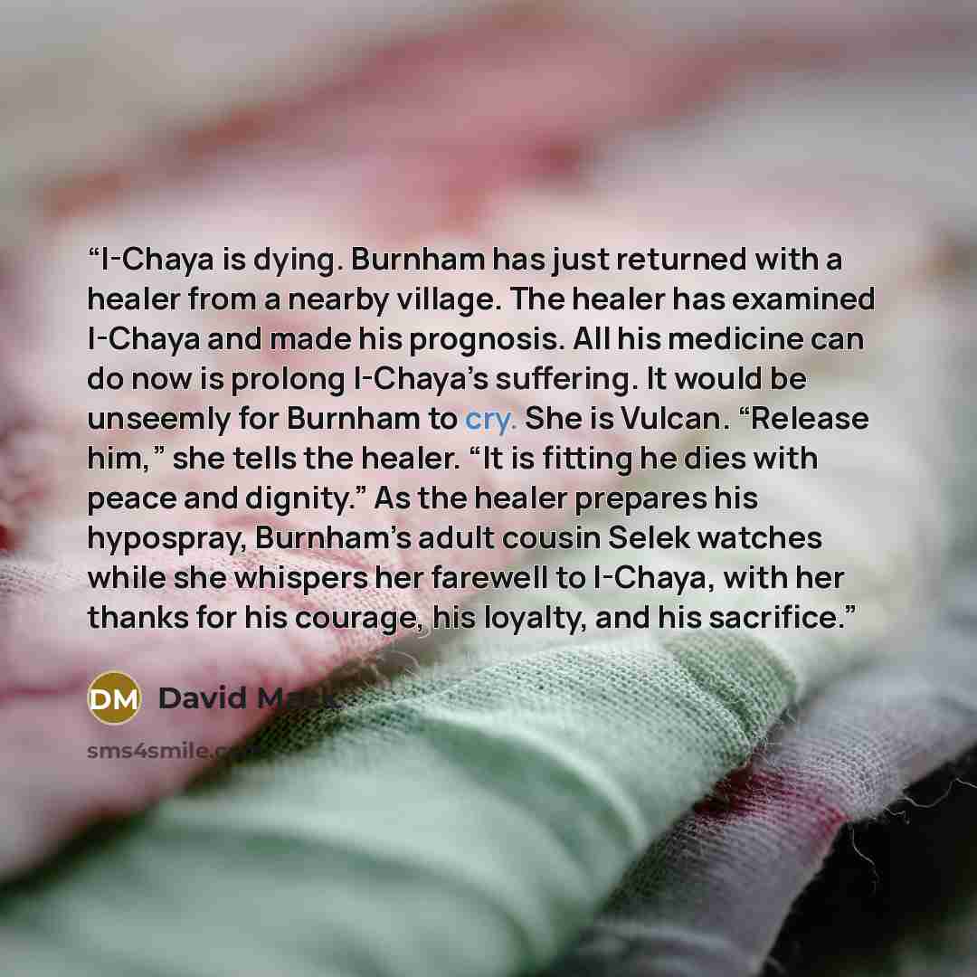 “I-Chaya is dying. Burnham has just returned with a healer from a nearby village. The healer has examined I-Chaya and made his prognosis. All his medicine can do now is prolong I-Chaya’s suffering. It would be unseemly for Burnham to cry. She is Vulcan. “Release him,” she tells the healer. “It is…” quote by David Mack