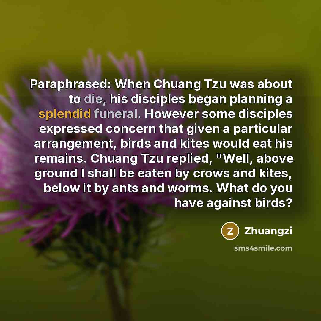 “Paraphrased: When Chuang Tzu was about to die, his disciples began planning a splendid funeral. However some disciples expressed concern that given a particular arrangement, birds and kites would eat his remains. Chuang Tzu replied, "Well, above ground I shall be eaten by crows and kites, below it…” quote by Zhuangzi