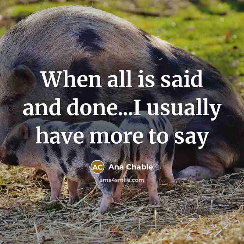 “When all is said and done...I usually have more to say” quote by Ana Chable