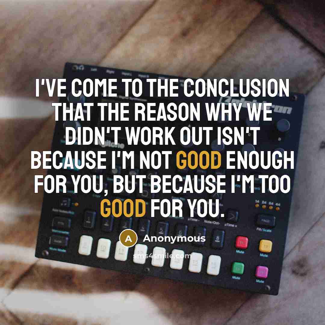 “I've come to the conclusion that the reason why we didn't work out isn't because I'm not good enough for you, but because I'm too good for you.” quote by Anonymous