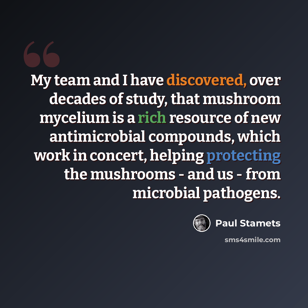 “My team and I have discovered, over decades of study, that mushroom mycelium is a rich resource of new antimicrobial compounds, which work in concert, helping protecting the mushrooms - and us - from microbial pathogens.” quote by Paul Stamets