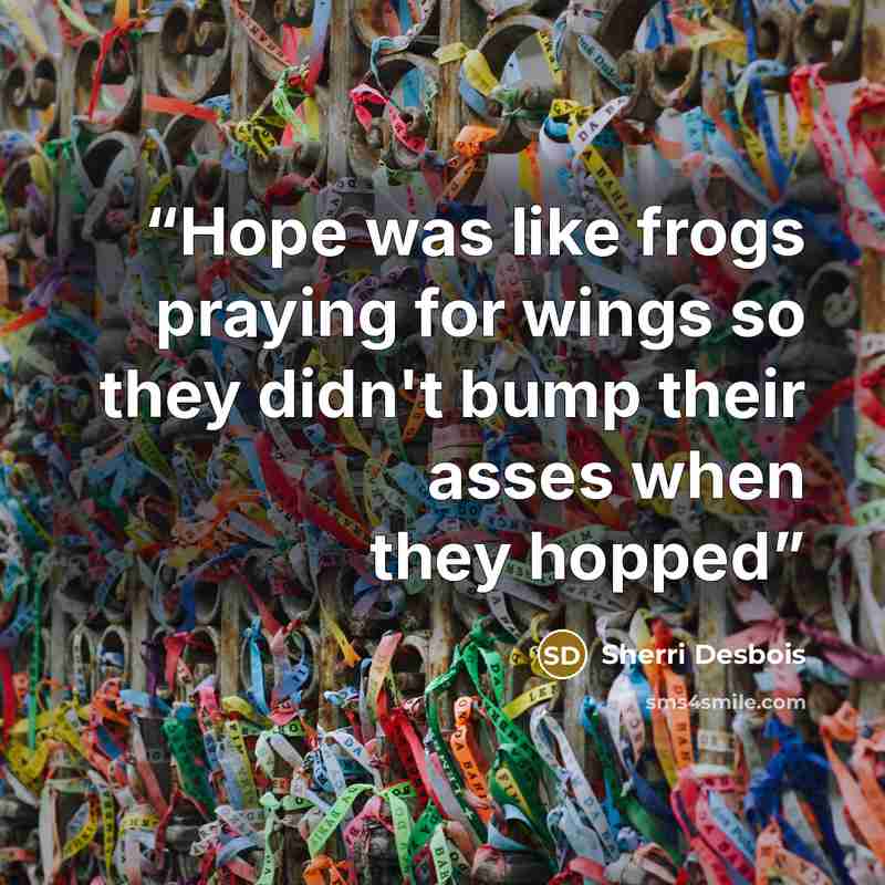 “Hope was like frogs praying for wings so they didn't bump their asses when they hopped” quote by Sherri Desbois