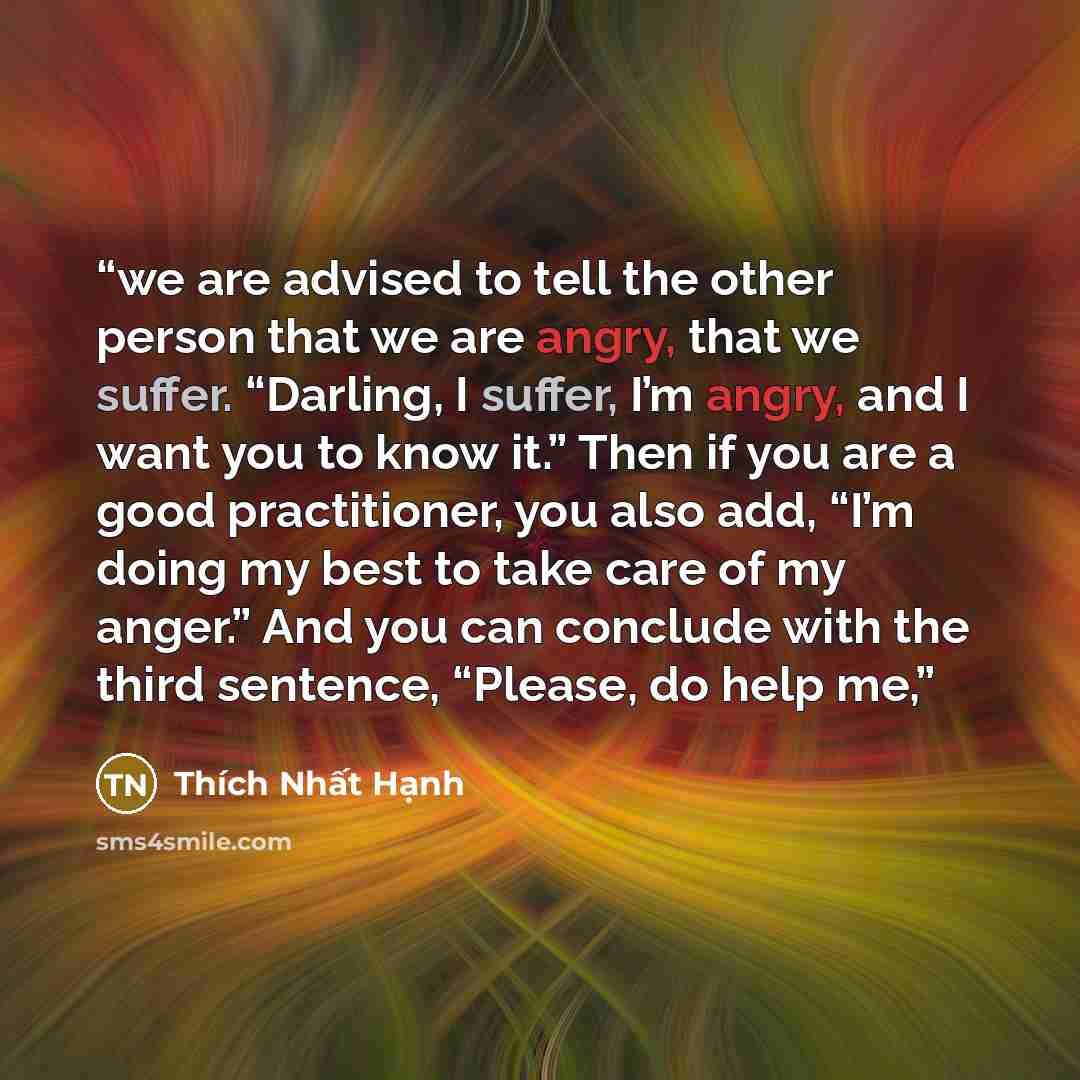 “we are advised to tell the other person that we are angry, that we suffer. “Darling, I suffer, I’m angry, and I want you to know it.” Then if you are a good practitioner, you also add, “I’m doing my best to take care of my anger.” And you can conclude with the third sentence, “Please, do help me,” quote by Thich Nhat Hanh