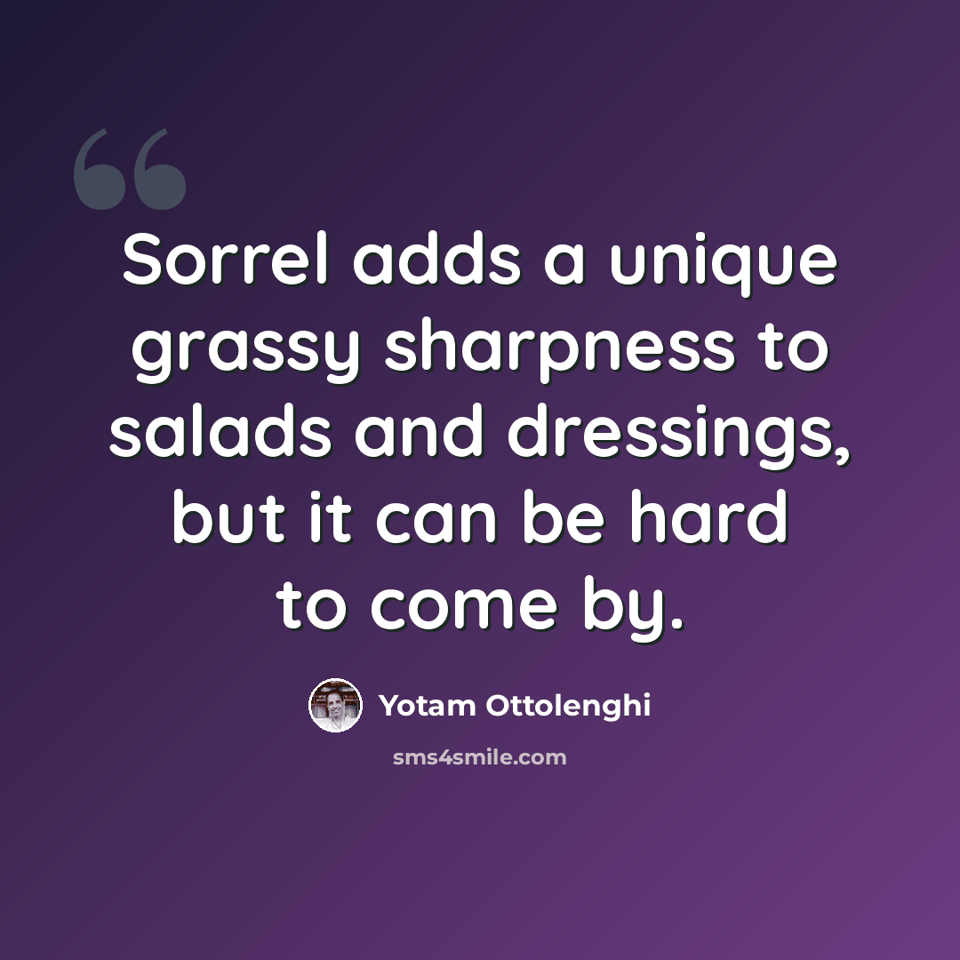 “Sorrel adds a unique grassy sharpness to salads and dressings, but it can be hard to come by.” quote by Yotam Ottolenghi