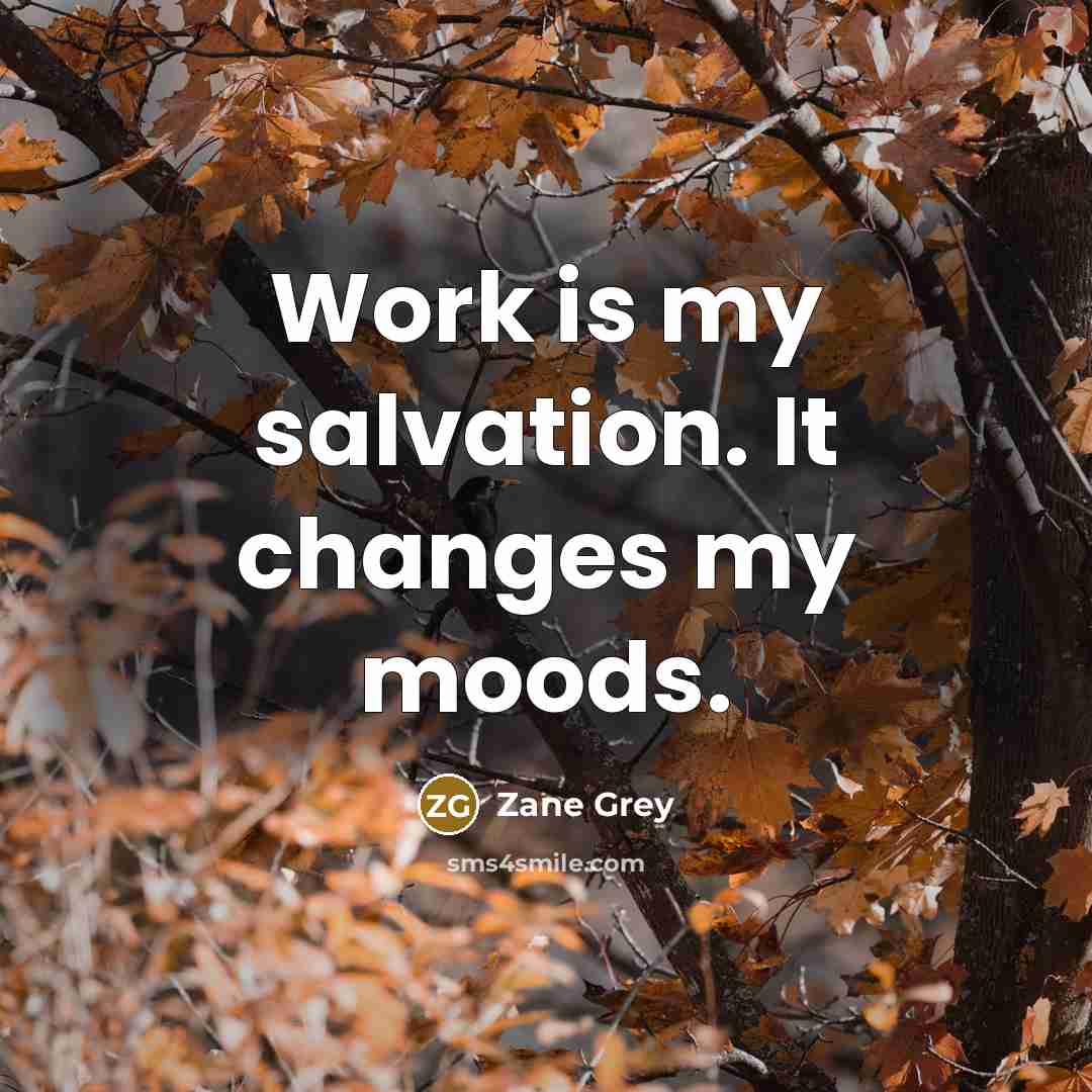 “Work is my salvation. It changes my moods.” quote by Zane Grey