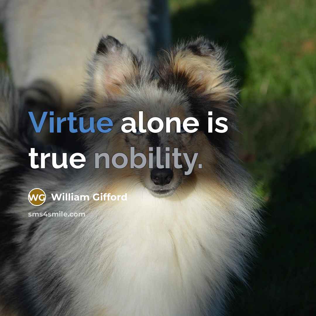 “Virtue alone is true nobility.” quote by William Gifford