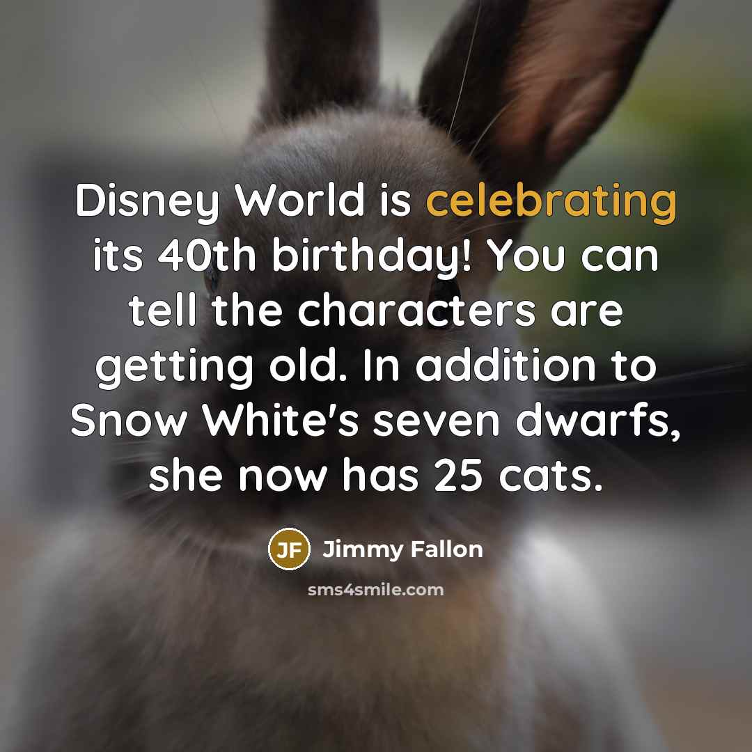 “Disney World is celebrating its 40th birthday! You can tell the characters are getting old. In addition to Snow White's seven dwarfs, she now has 25 cats.” quote by Jimmy Fallon