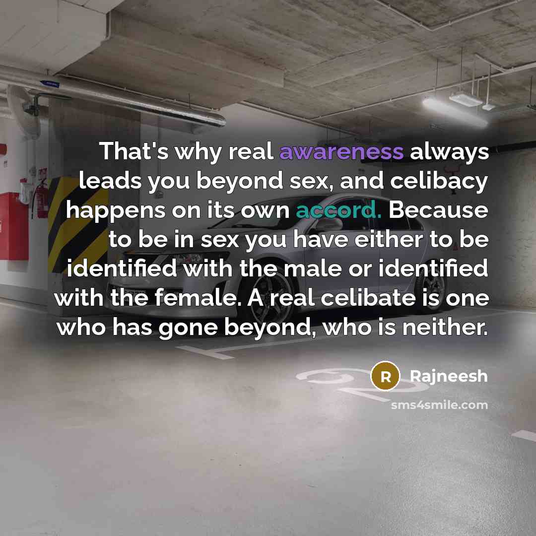“That's why real awareness always leads you beyond sex, and celibacy happens on its own accord. Because to be in sex you have either to be identified with the male or identified with the female. A real celibate is one who has gone beyond, who is neither.” quote by Rajneesh