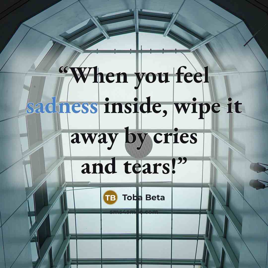 “When you feel sadness inside, wipe it away by cries and tears!” quote by Toba Beta