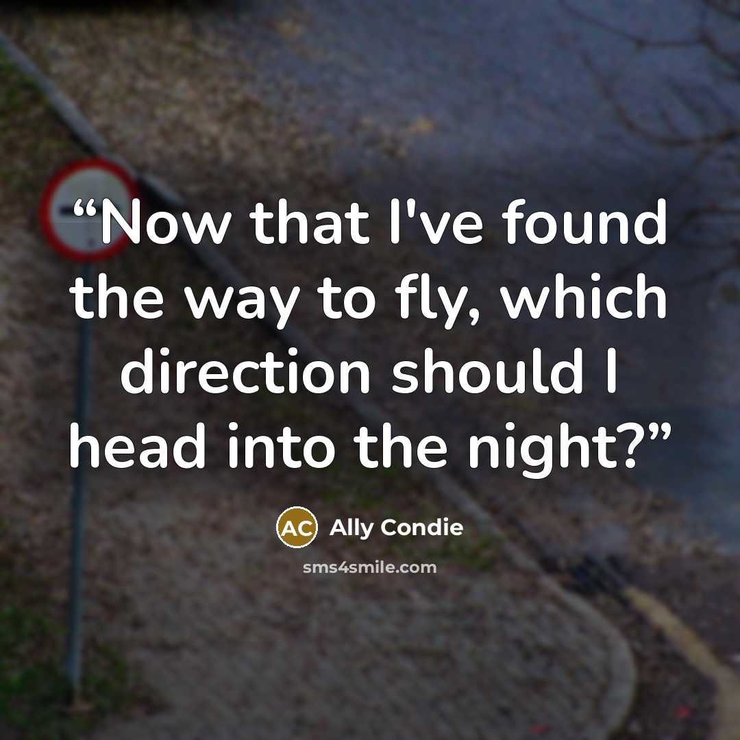 “Now that I've found the way to fly, which direction should I head into the night?” quote by Ally Condie