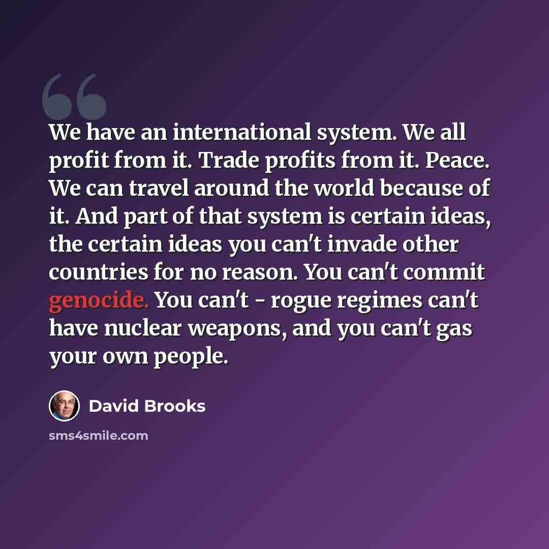 “We have an international system. We all profit from it. Trade profits from it. Peace. We can travel around the world because of it. And part of that system is certain ideas, the certain ideas you can't invade other countries for no reason. You can't commit genocide. You can't - rogue regimes can't…” quote by David Brooks