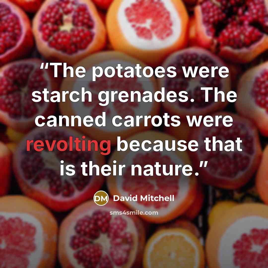 “The potatoes were starch grenades. The canned carrots were revolting because that is their nature.” quote by David Mitchell