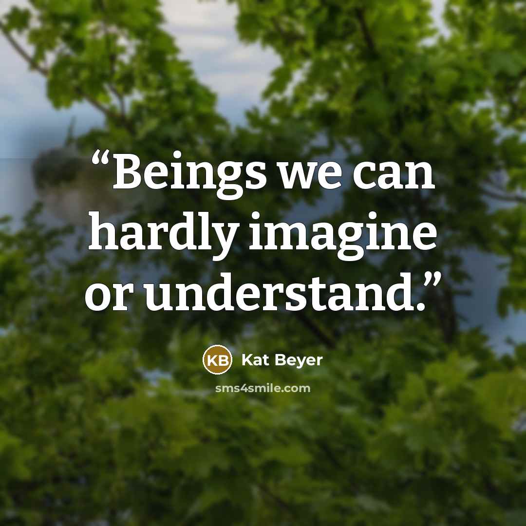 “Beings we can hardly imagine or understand.” quote by Kat Beyer