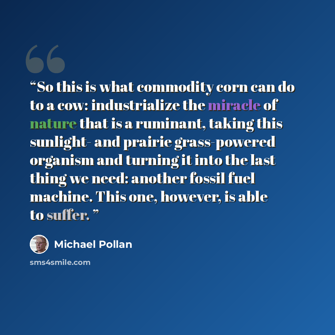 “So this is what commodity corn can do to a cow: industrialize the miracle of nature that is a ruminant, taking this sunlight- and prairie grass-powered organism and turning it into the last thing we need: another fossil fuel machine. This one, however, is able to suffer.” quote by Michael Pollan
