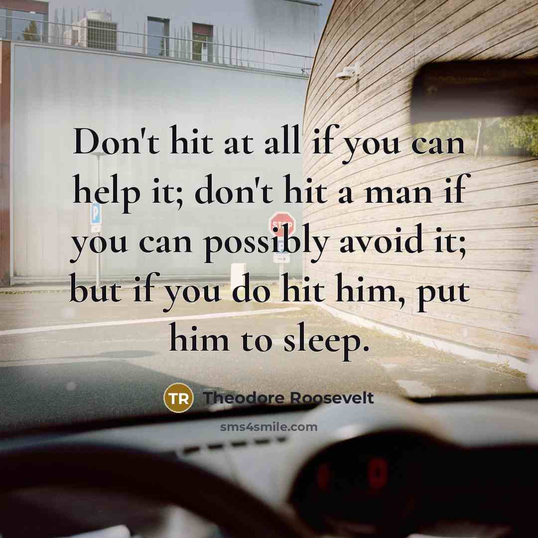 “Don't hit at all if you can help it; don't hit a man if you can possibly avoid it; but if you do hit him, put him to sleep.” quote by Theodore Roosevelt