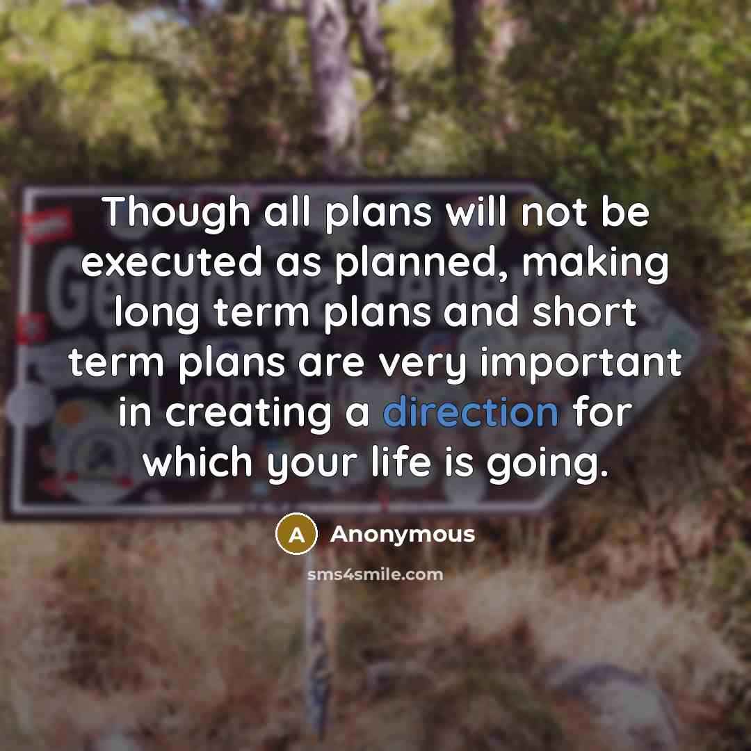 “Though all plans will not be executed as planned, making long term plans and short term plans are very important in creating a direction for which your life is going.” quote by Anonymous