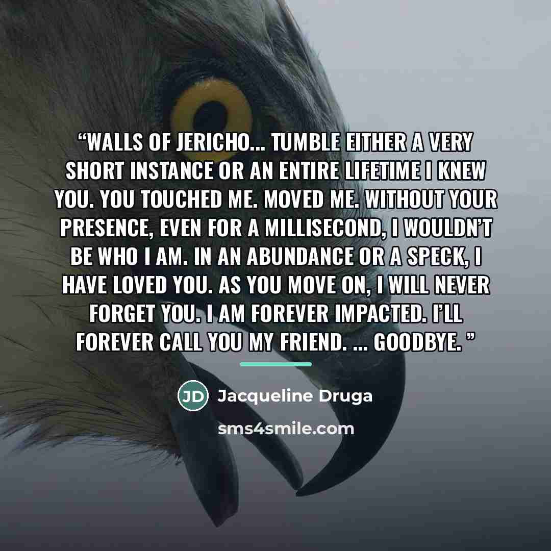 “WALLS OF JERICHO... TUMBLE Either a very short instance or an entire lifetime I knew you. You touched me. Moved me. Without your presence, even for a millisecond, I wouldn’t be who I am. In an abundance or a speck, I have loved you. As you move on, I will never forget you. I am forever impacted…” quote by Jacqueline Druga