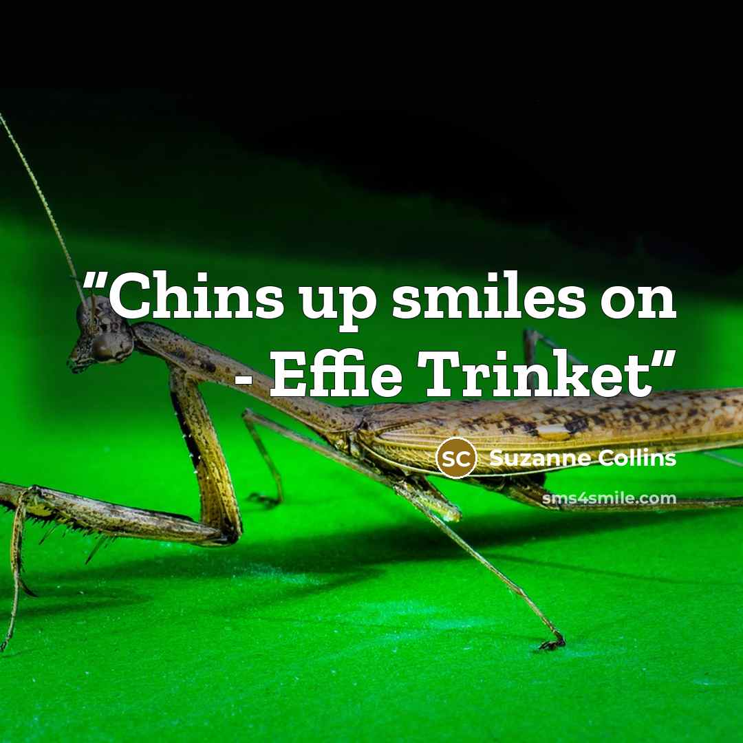“Chins up smiles on - Effie Trinket” quote by Suzanne Collins