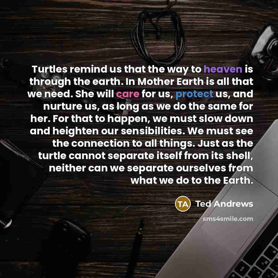 “Turtles remind us that the way to heaven is through the earth. In Mother Earth is all that we need. She will care for us, protect us, and nurture us, as long as we do the same for her. For that to happen, we must slow down and heighten our sensibilities. We must see the connection to all things…” quote by Ted Andrews