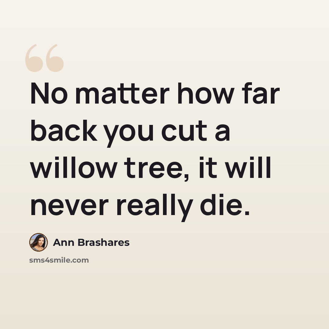 “No matter how far back you cut a willow tree, it will never really die.” quote by Ann Brashares