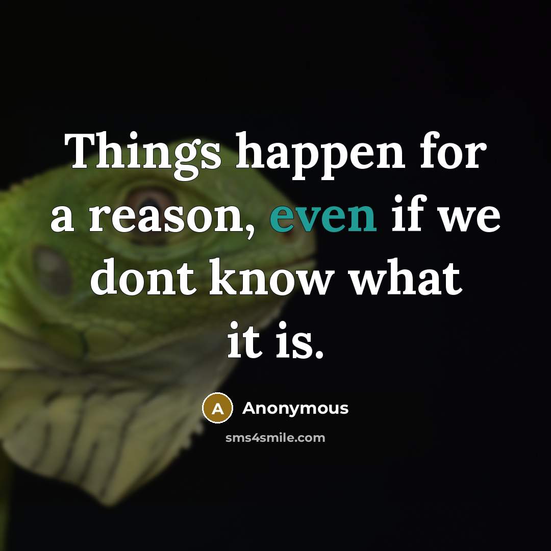 “Things happen for a reason, even if we dont know what it is.” quote by Anonymous
