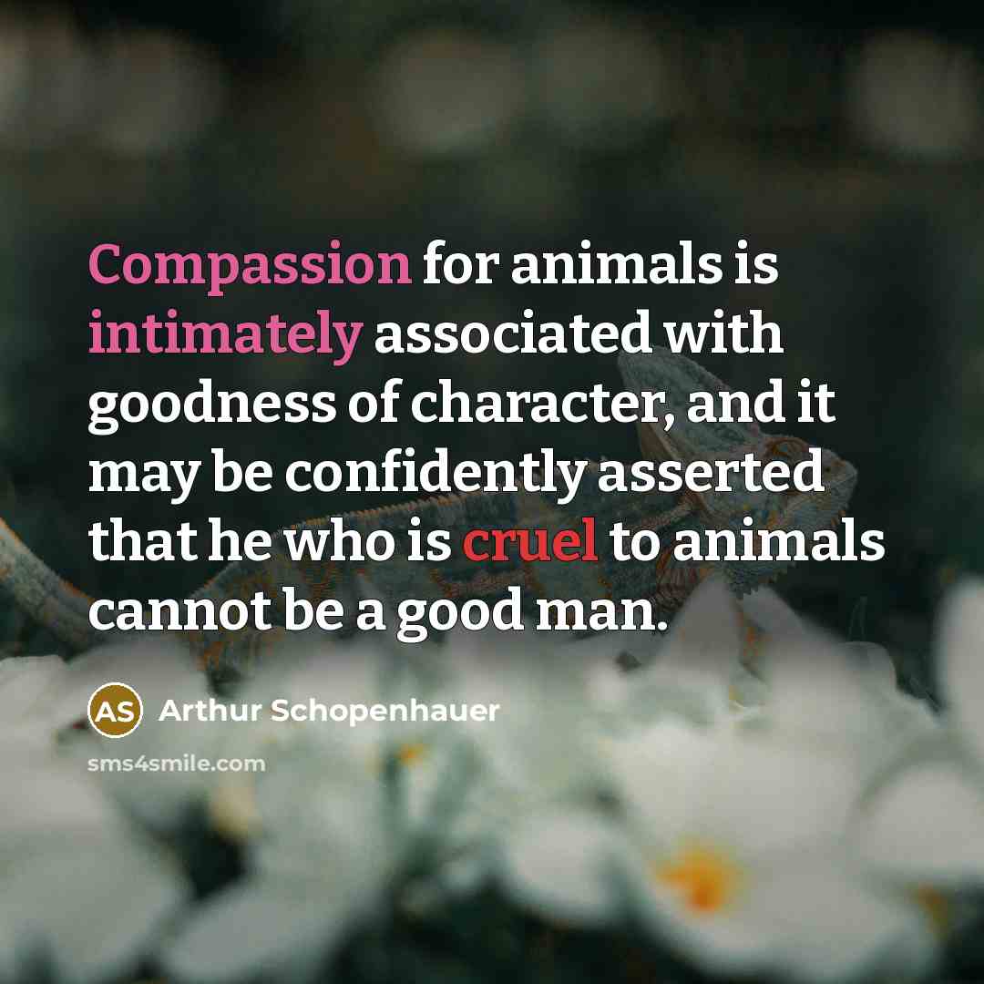 “Compassion for animals is intimately associated with goodness of character, and it may be confidently asserted that he who is cruel to animals cannot be a good man.” quote by Arthur Schopenhauer