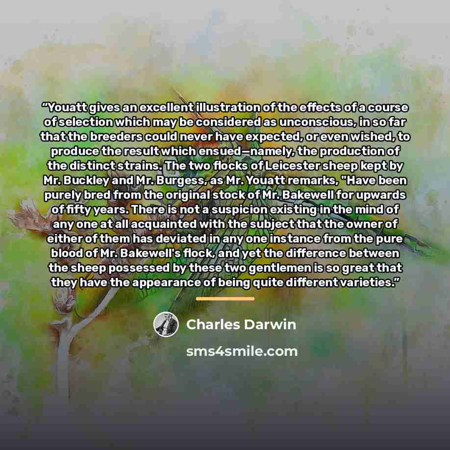 “Youatt gives an excellent illustration of the effects of a course of selection which may be considered as unconscious, in so far that the breeders could never have expected, or even wished, to produce the result which ensued—namely, the production of the distinct strains. The two flocks of…” quote by Charles Darwin