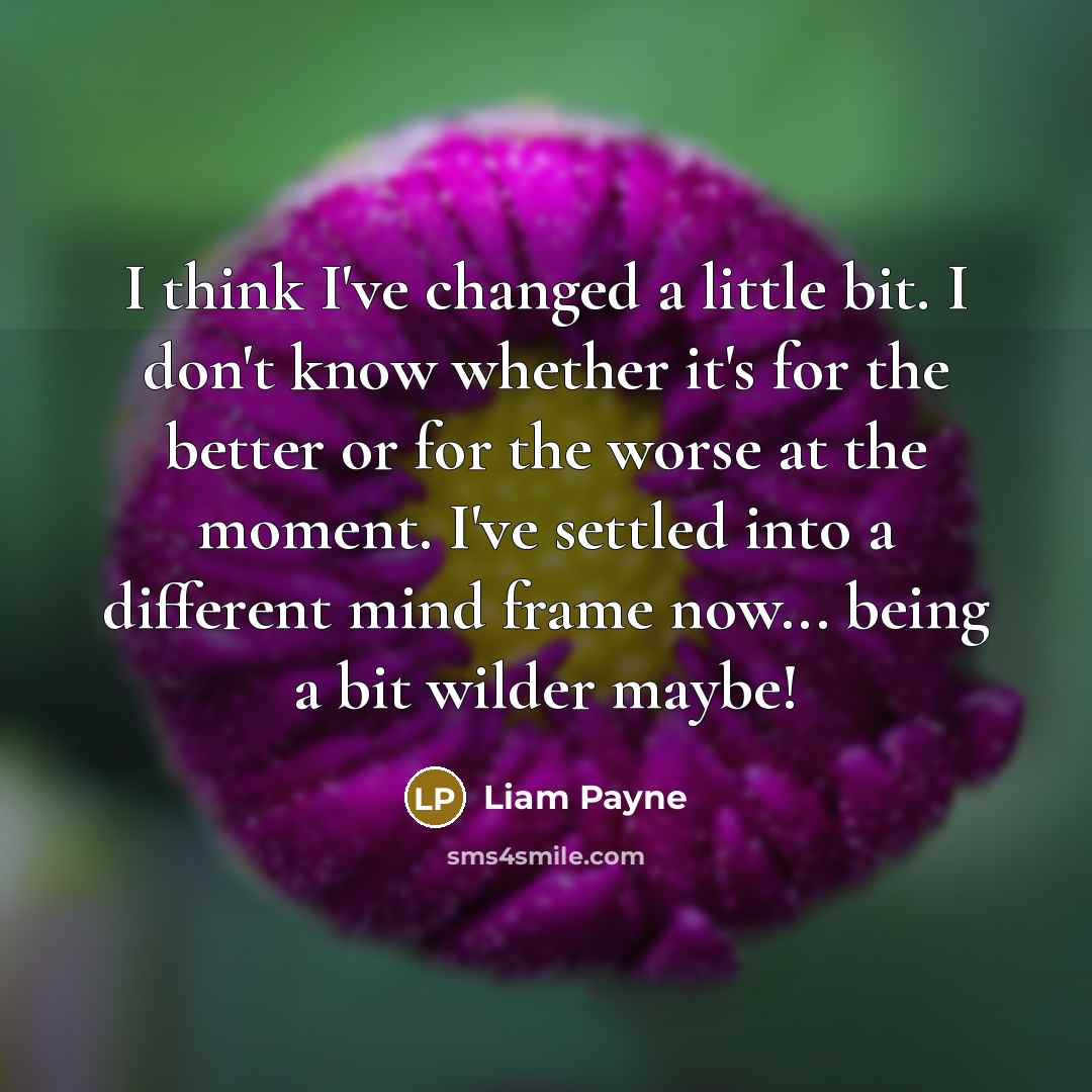 “I think I've changed a little bit. I don't know whether it's for the better or for the worse at the moment. I've settled into a different mind frame now... being a bit wilder maybe!” quote by Liam Payne