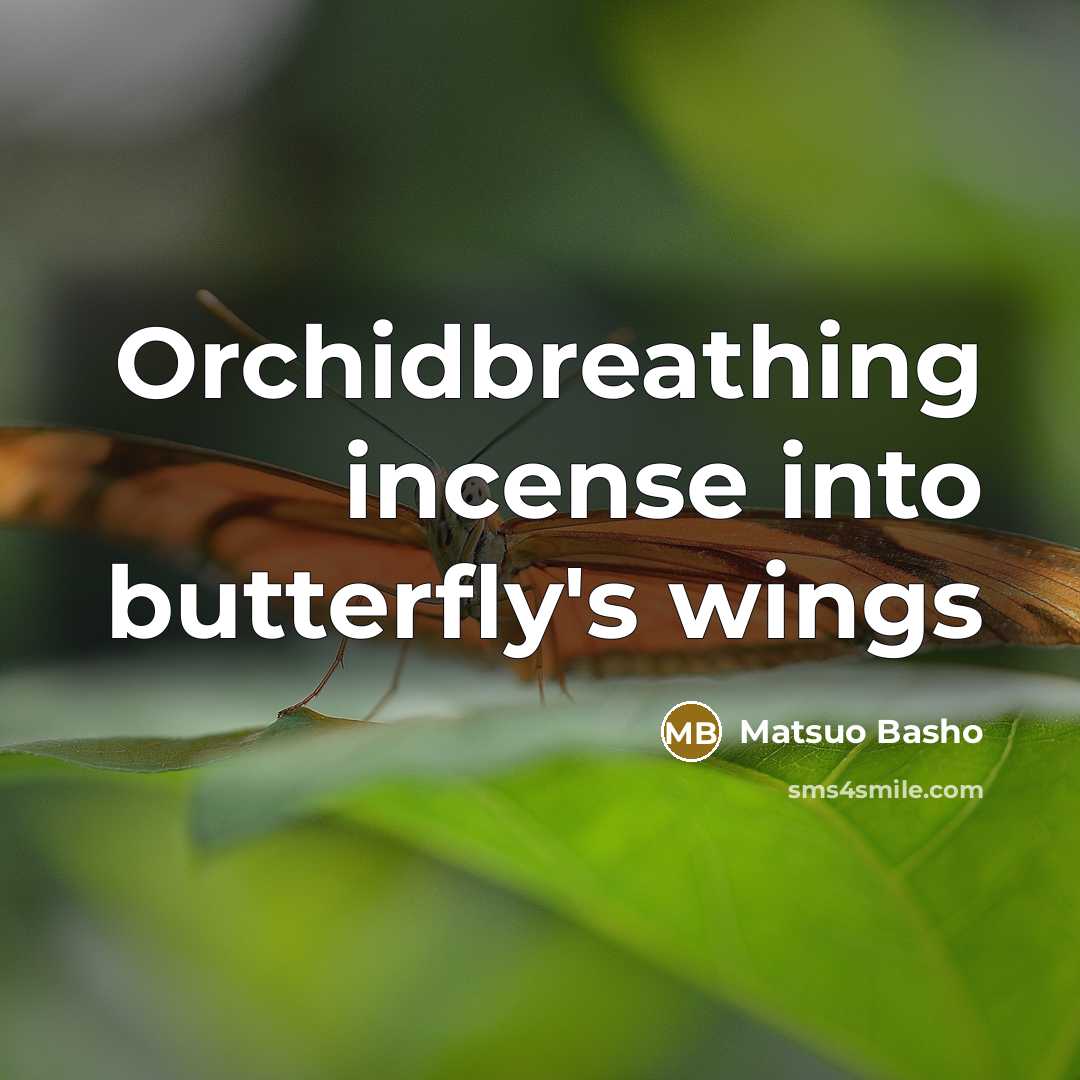“Orchidbreathing incense into butterfly's wings” quote by Matsuo Basho