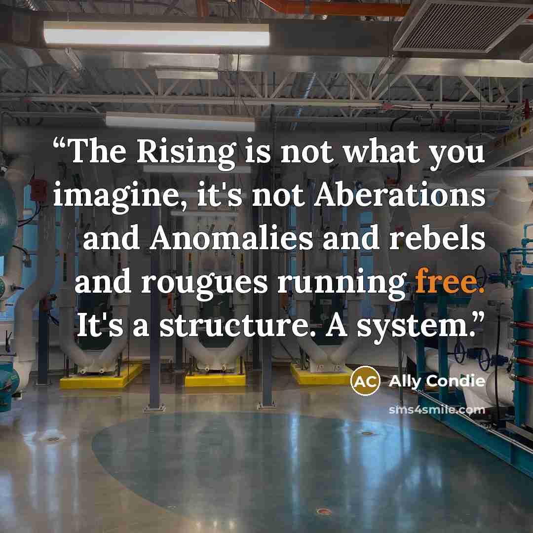 “The Rising is not what you imagine, it's not Aberations and Anomalies and rebels and rougues running free. It's a structure. A system.” quote by Ally Condie