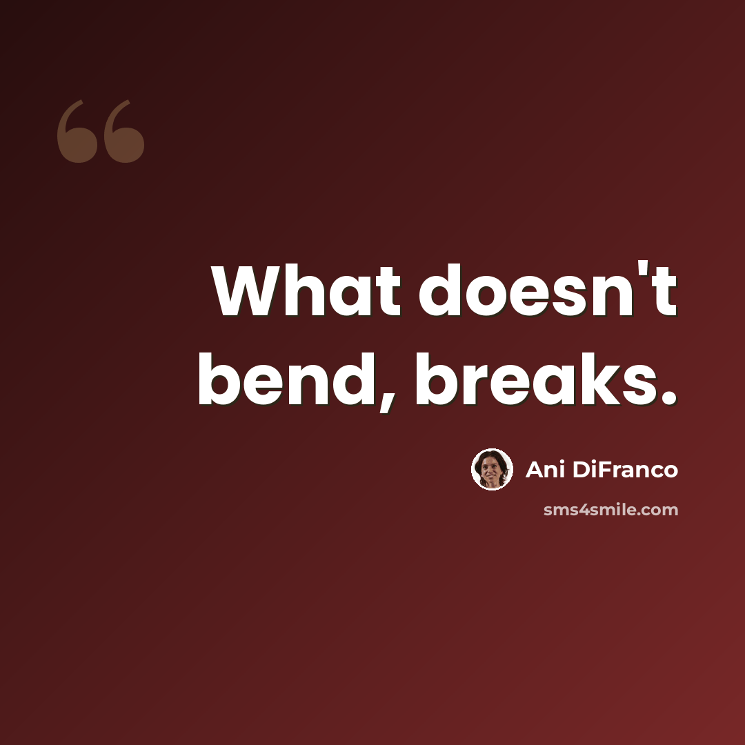 “What doesn't bend, breaks.” quote by Ani DiFranco