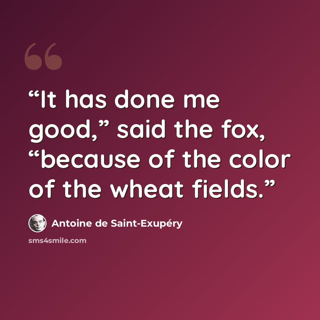 “It has done me good,” said the fox, “because of the color of the wheat fields.” quote by Antoine de Saint-Exupéry