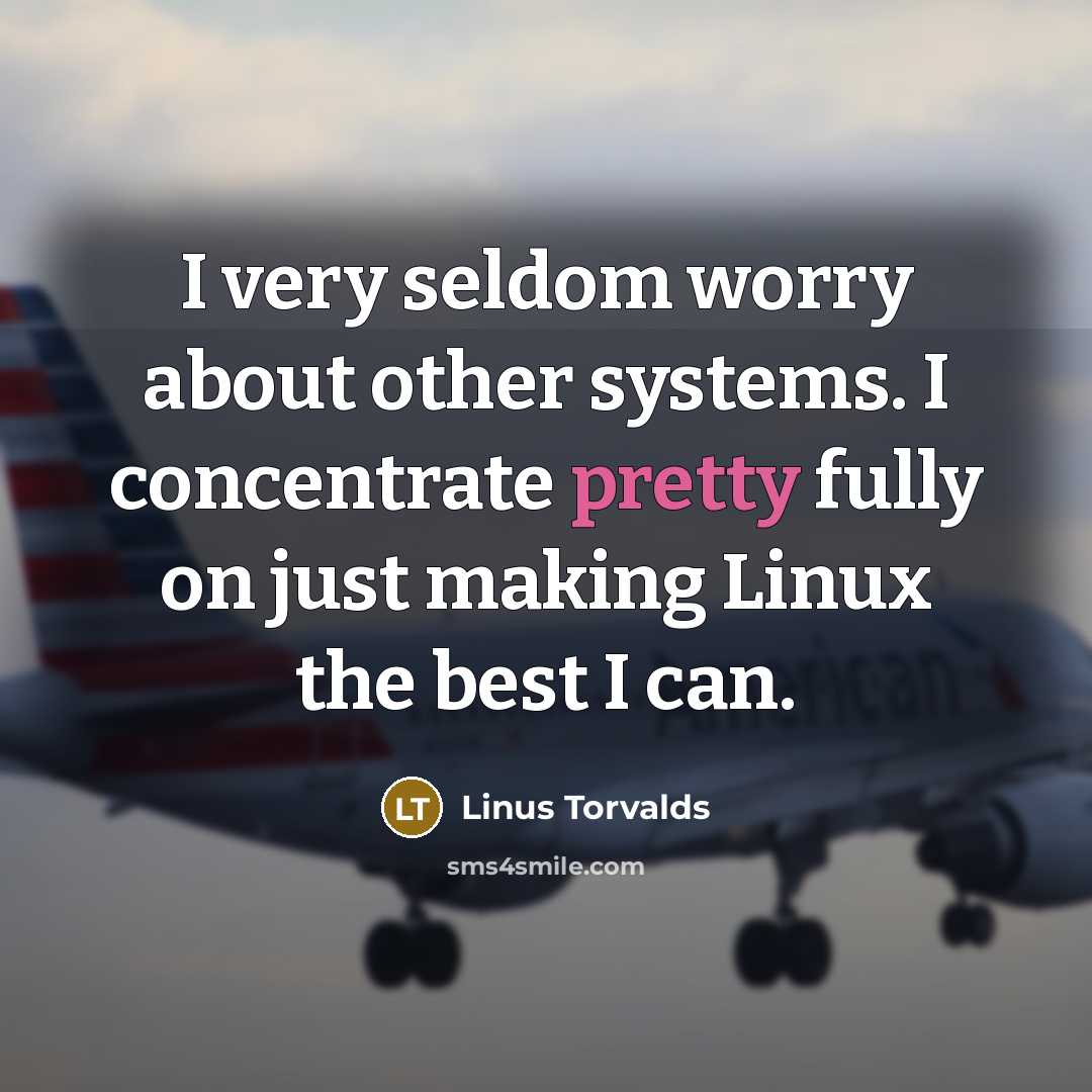 “I very seldom worry about other systems. I concentrate pretty fully on just making Linux the best I can.” quote by Linus Torvalds