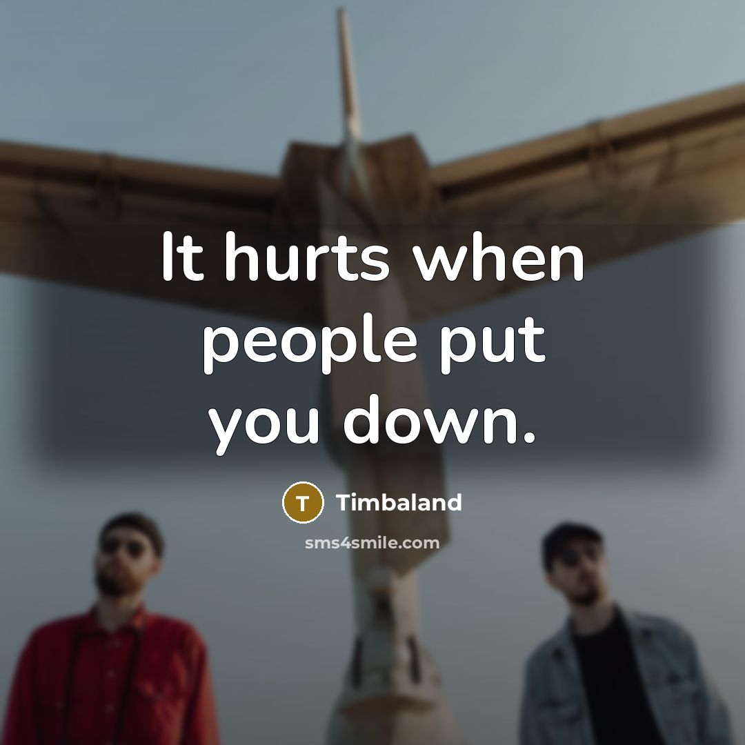 “It hurts when people put you down.” quote by Timbaland