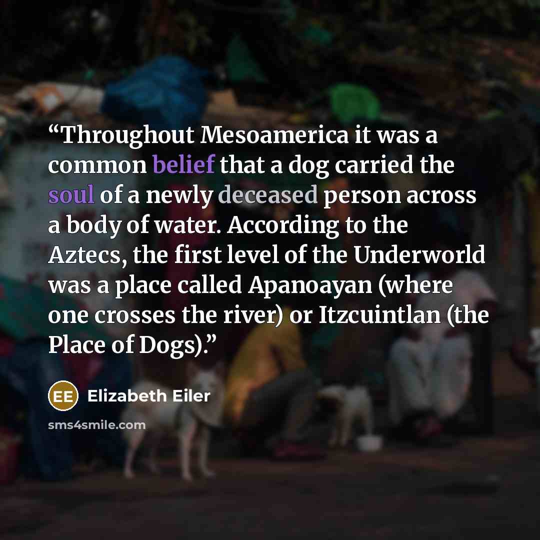 “Throughout Mesoamerica it was a common belief that a dog carried the soul of a newly deceased person across a body of water. According to the Aztecs, the first level of the Underworld was a place called Apanoayan (where one crosses the river) or Itzcuintlan (the Place of Dogs).” quote by Elizabeth Eiler
